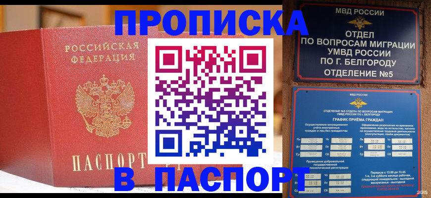 временная регистрация в квартире в Каргополе
